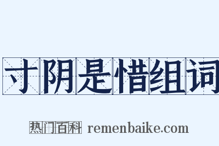 寸阴是惜组词是什么意思的图片